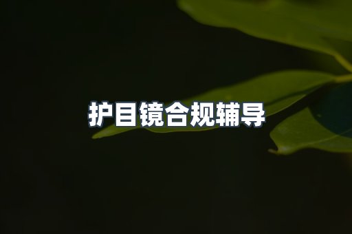 护目镜合规辅导